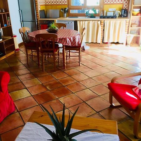 Rez De Jardin De Chalet Bois , Calme Et Verdure ! Saint-Martin-Vésubie Εξωτερικό φωτογραφία
