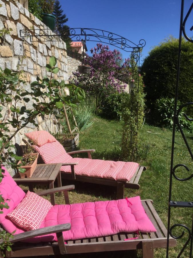 Rez De Jardin De Chalet Bois , Calme Et Verdure ! Saint-Martin-Vésubie Εξωτερικό φωτογραφία